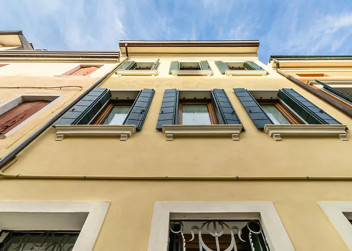 Domus Color
